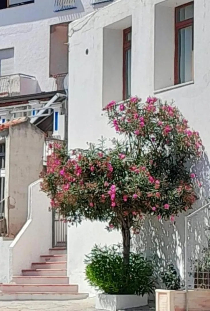 Casa Pina Villa Cala Gonone Tatil Evi
